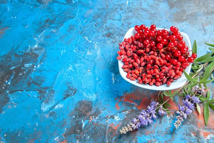 تصویر 2 از فروش زرشک دانه اناری اعلا + قیمت خرید به صرفه